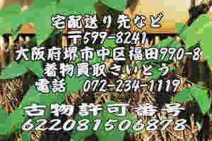 ��z�����Ȃǂ͂�����